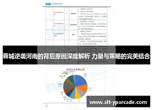 蓉城逆袭河南的背后原因深度解析 力量与策略的完美结合