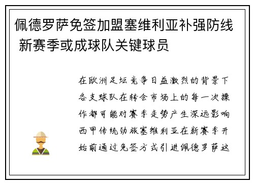 佩德罗萨免签加盟塞维利亚补强防线 新赛季或成球队关键球员 佩德罗萨免签加盟塞维利亚补强防线 新赛季或成球队关键球员