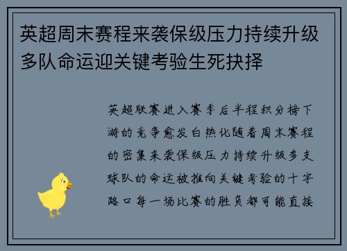 英超周末赛程来袭保级压力持续升级多队命运迎关键考验生死抉择